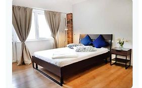 Piata Victoriei Kiseleff Studio Apartment
